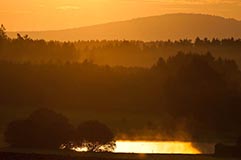 Oberpflzer Wald - Zum Vergroessern klicken!